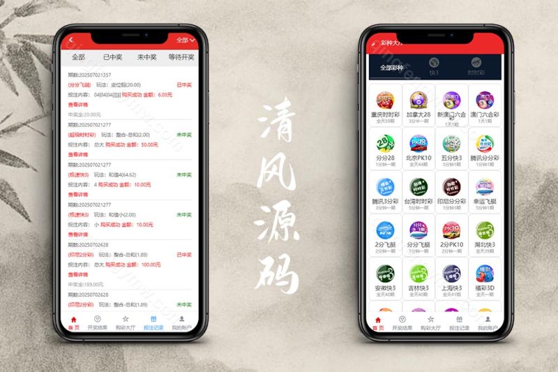 大富彩票源码/大富818彩票源码/番摊玩法/摊路玩法/加拿大28源码/彩种全开源无限加彩