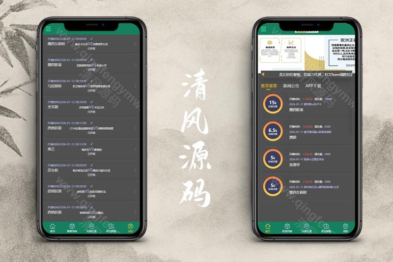 2026最新反波胆源码/ECSTeam多语言足球体育反波胆投注源码/世界杯下注源码/足球比分竞猜源码/前端html+后端PHP/运营版
